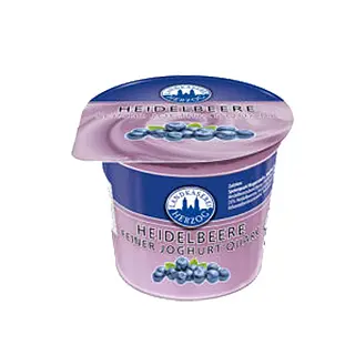 Heidelbeer Joghurt Quark 300g 